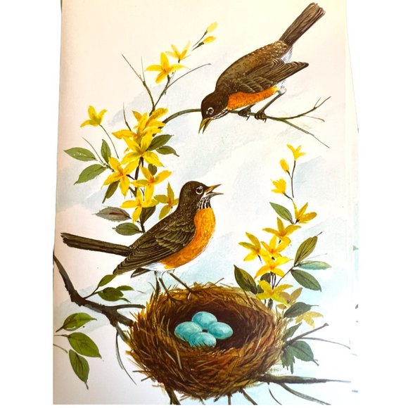 Vtg GREETING CARDS "Winged Beauties" Watercolor Birds Embossed Full Set Ephemera - Picture 5 of 15